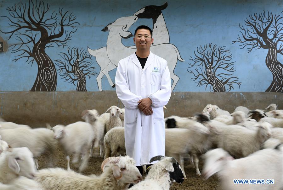 CHINA-NINGXIA-YANCHI-GRADUATE-SHEEP RAISING (CN)
