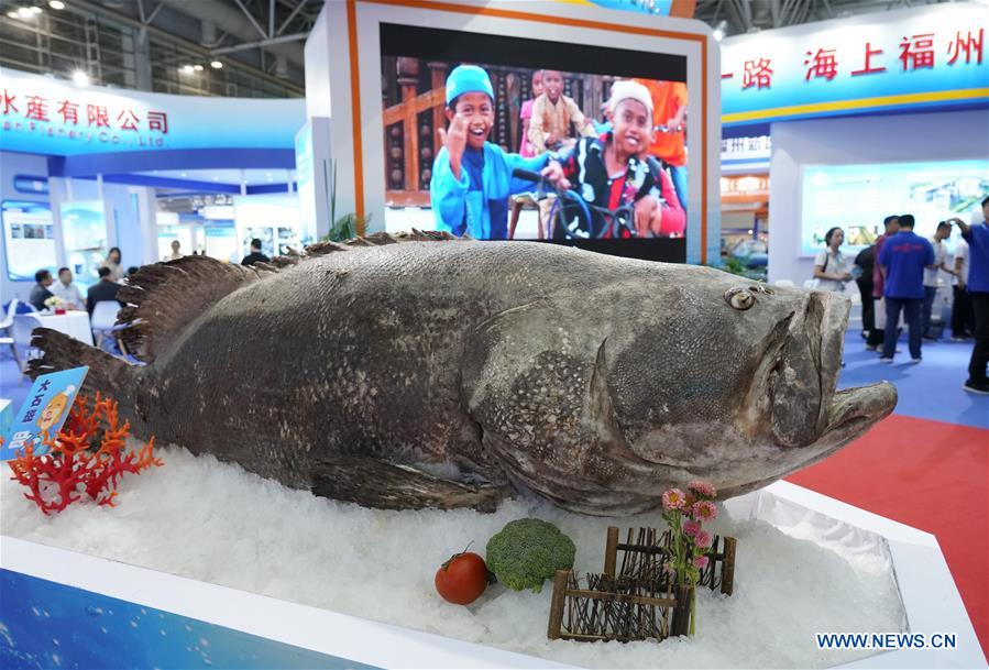 CHINA-FUZHOU-SEAFOOD-FISHERY-EXPO (CN)