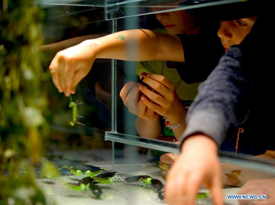 CZECH REPUBLIC-PRAGUE-SCIENCE FAIR