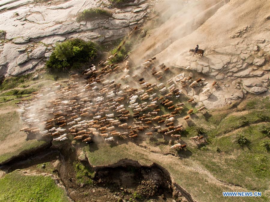 CHINA-XINJIANG-ALTAY-SUMMER PASTURE(CN)