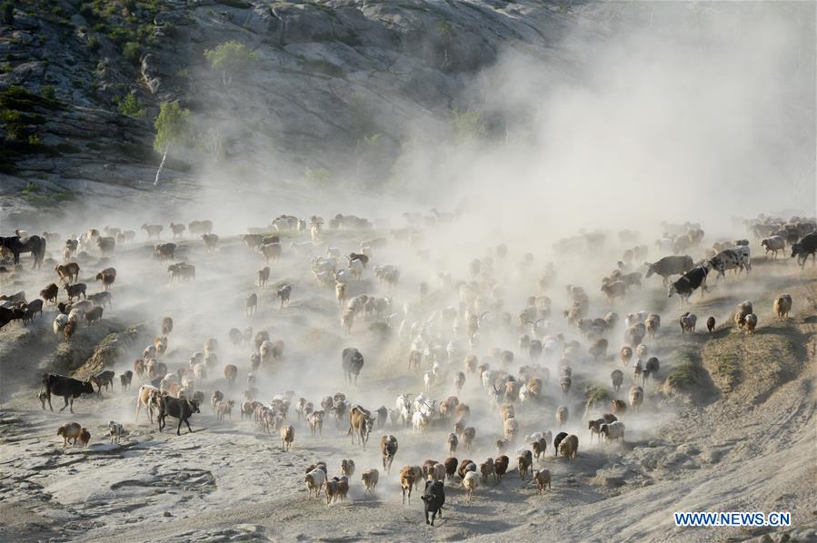 CHINA-XINJIANG-ALTAY-SUMMER PASTURE(CN)