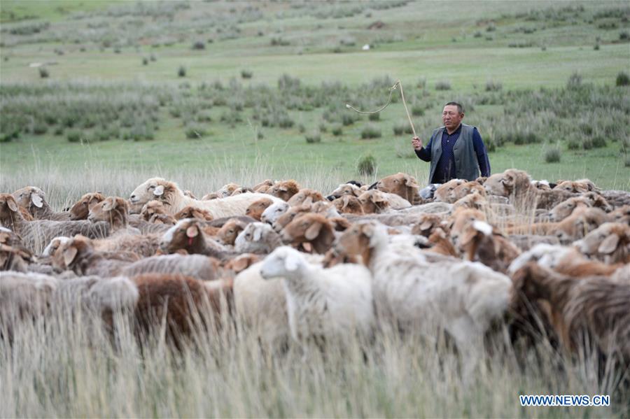 CHINA-XINJIANG-ALTAY-SUMMER PASTURE(CN)