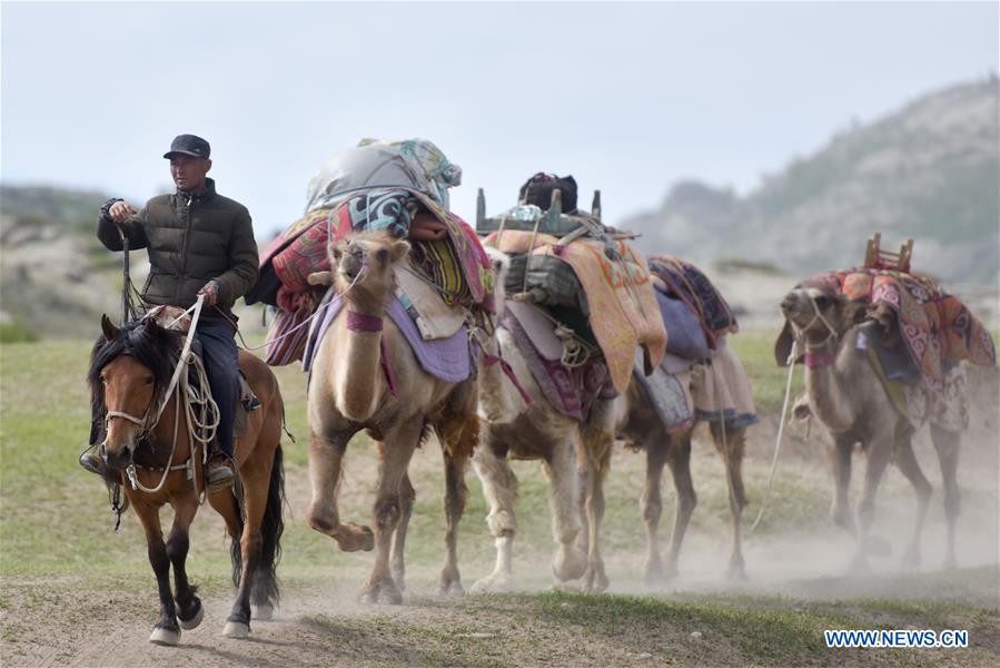 CHINA-XINJIANG-ALTAY-SUMMER PASTURE(CN)