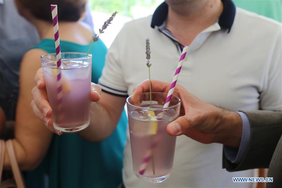 CYPRUS-AVGOROU-LAVENDER FESTIVAL