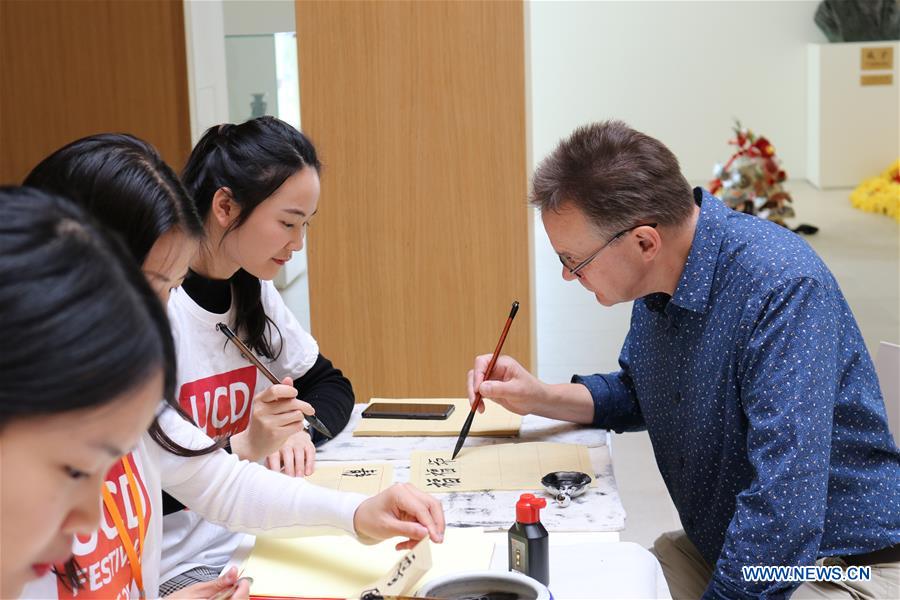 IRELAND-DUBLIN-UCD FESTIVAL