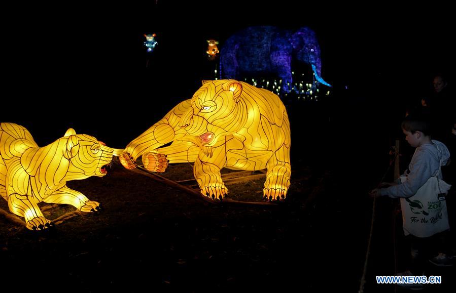 AUSTRALIA-SYDNEY-VIVID SYDNEY-LIGHTS FOR THE WILD
