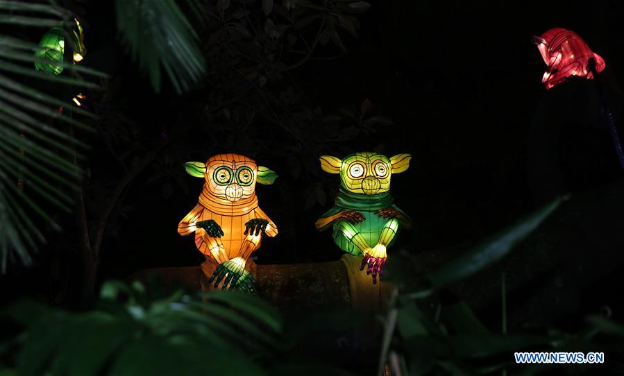 AUSTRALIA-SYDNEY-VIVID SYDNEY-LIGHTS FOR THE WILD