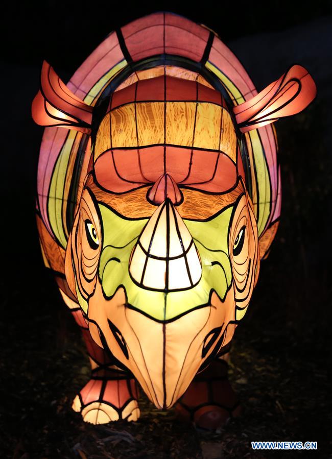 AUSTRALIA-SYDNEY-VIVID SYDNEY-LIGHTS FOR THE WILD