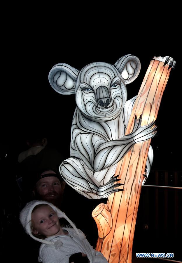 AUSTRALIA-SYDNEY-VIVID SYDNEY-LIGHTS FOR THE WILD