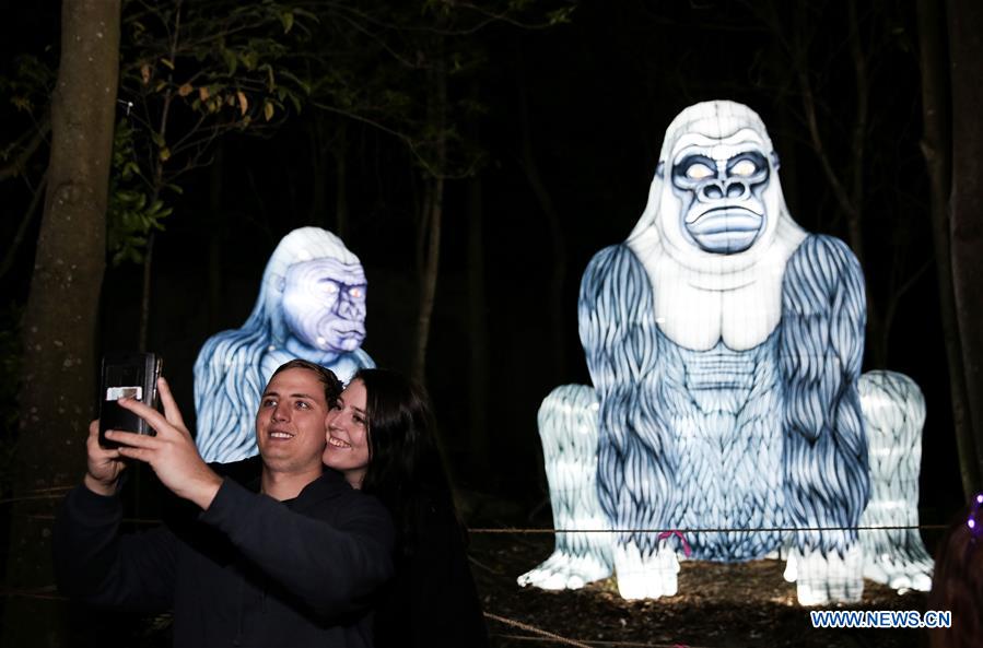 AUSTRALIA-SYDNEY-VIVID SYDNEY-LIGHTS FOR THE WILD