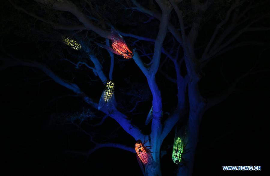 AUSTRALIA-SYDNEY-VIVID SYDNEY-LIGHTS FOR THE WILD