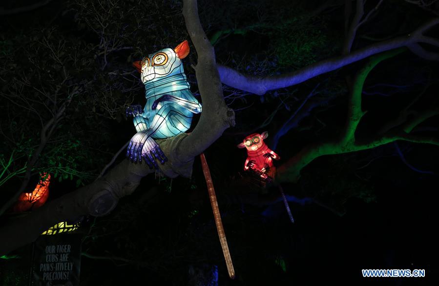 AUSTRALIA-SYDNEY-VIVID SYDNEY-LIGHTS FOR THE WILD
