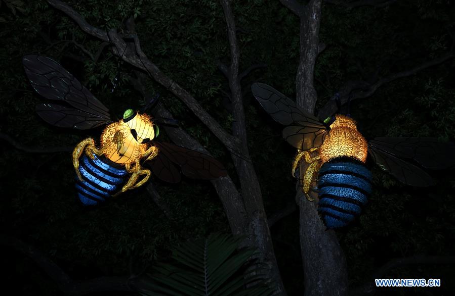 AUSTRALIA-SYDNEY-VIVID SYDNEY-LIGHTS FOR THE WILD