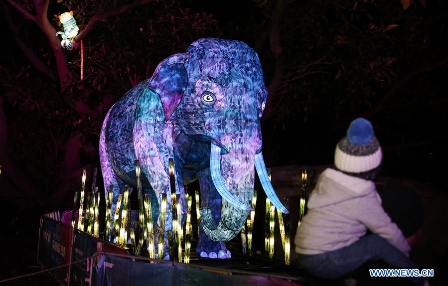 AUSTRALIA-SYDNEY-VIVID SYDNEY-LIGHTS FOR THE WILD