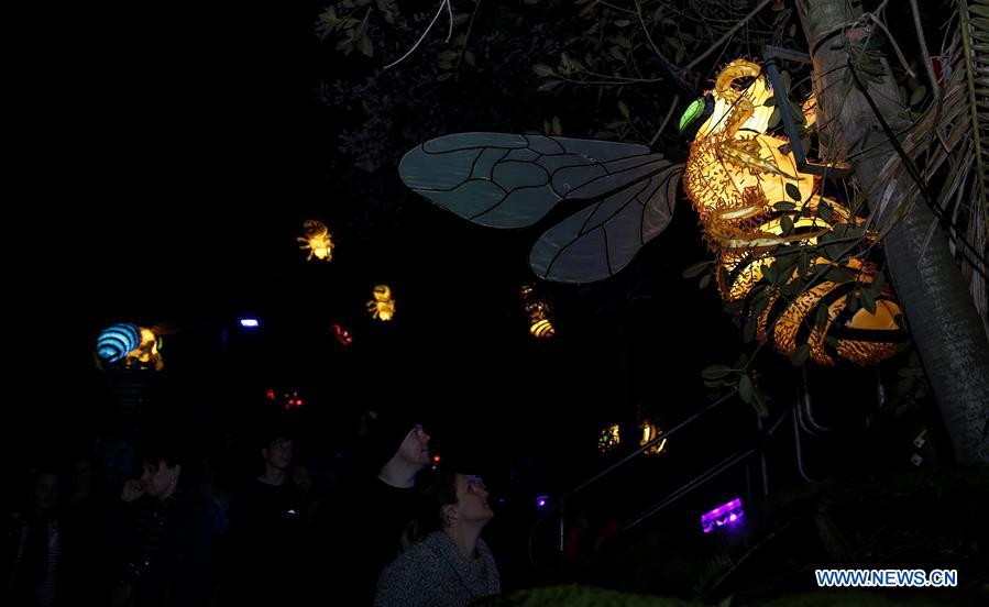 AUSTRALIA-SYDNEY-VIVID SYDNEY-LIGHTS FOR THE WILD