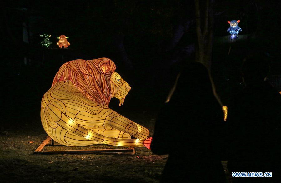 AUSTRALIA-SYDNEY-VIVID SYDNEY-LIGHTS FOR THE WILD