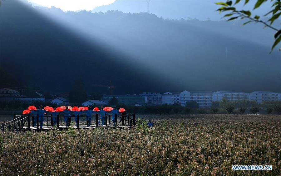 CHINA-SHAANXI-ECOSYSTEM PRODUCTION (CN)