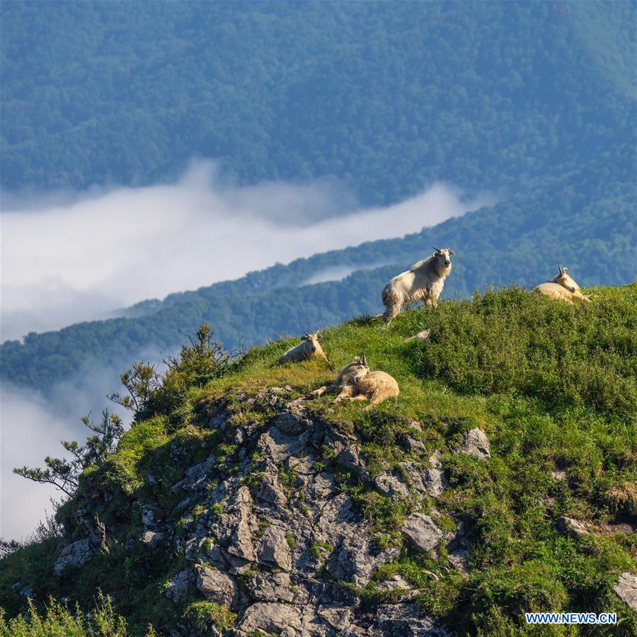 CHINA-SHAANXI-ECOSYSTEM PRODUCTION (CN)