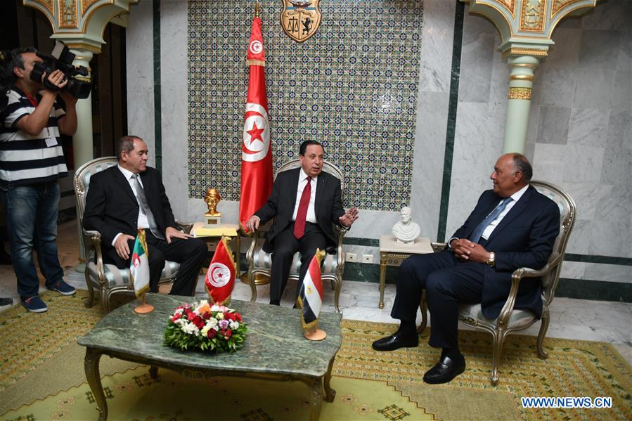 TUNISIA-TUNIS-EGYPT-ALGERIA-FM-MEETING