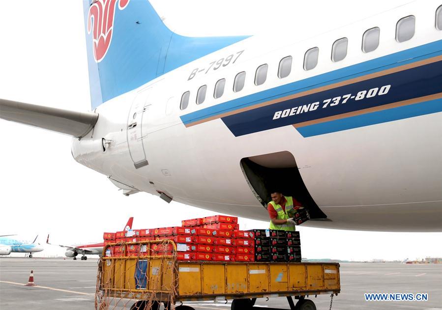 CHINA-URUMQI-CHERRY-CENTRAL ASIA-IMPORT (CN)