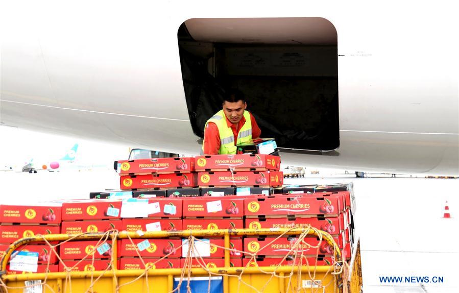 CHINA-URUMQI-CHERRY-CENTRAL ASIA-IMPORT (CN)