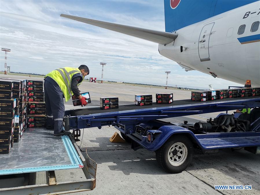 CHINA-URUMQI-CHERRY-CENTRAL ASIA-IMPORT (CN)