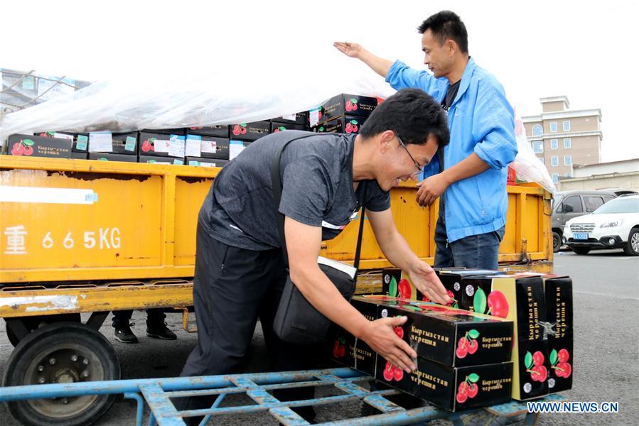 CHINA-URUMQI-CHERRY-CENTRAL ASIA-IMPORT (CN)