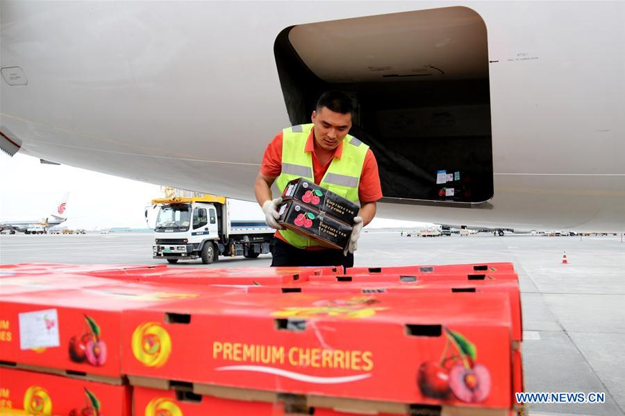 CHINA-URUMQI-CHERRY-CENTRAL ASIA-IMPORT (CN)
