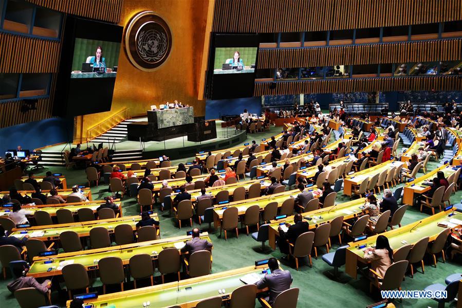 UN-GENERAL ASSEMBLY-ECOSOC ELECTION