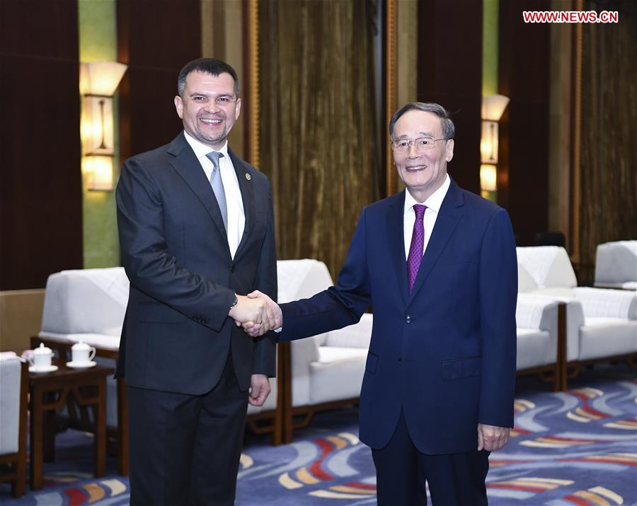 CHINA-HARBIN-WANG QISHAN-RUSSIA-EXPOSITION (CN)