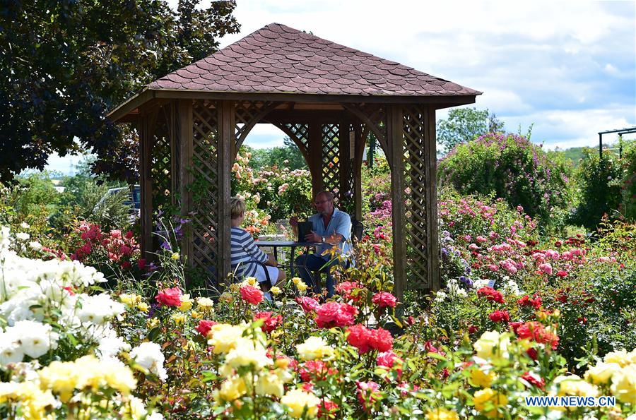 People visit rosepark of Bad Nauheim in Steinfurth, Germany Xinhua