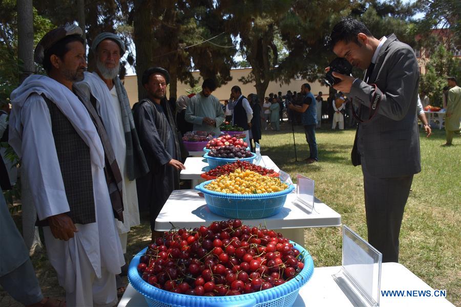 AFGHANISTAN-BALKH-AGRICULTURAL PRODUCTS EXPO