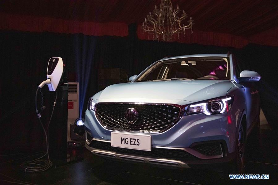 EGYPT-CAIRO-CHINA-AUTO FIRMS-JOINT VENTURE