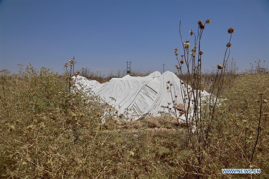 IRAQ-NIMRUD-ARCHAEOLOGICAL SITE-RUINS