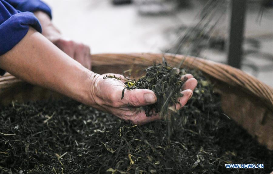 CHINA-SICHUAN-CHENGDU-YA'AN RAILWAY-TEA HORSE ROAD (CN)