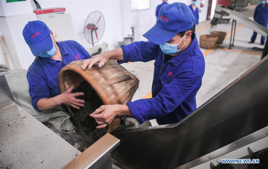 CHINA-SICHUAN-CHENGDU-YA'AN RAILWAY-TEA HORSE ROAD (CN)