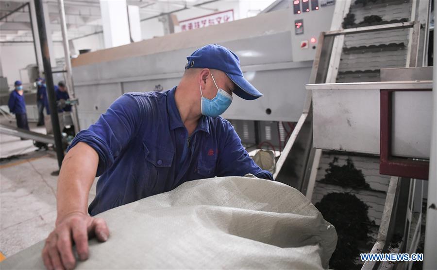 CHINA-SICHUAN-CHENGDU-YA'AN RAILWAY-TEA HORSE ROAD (CN)