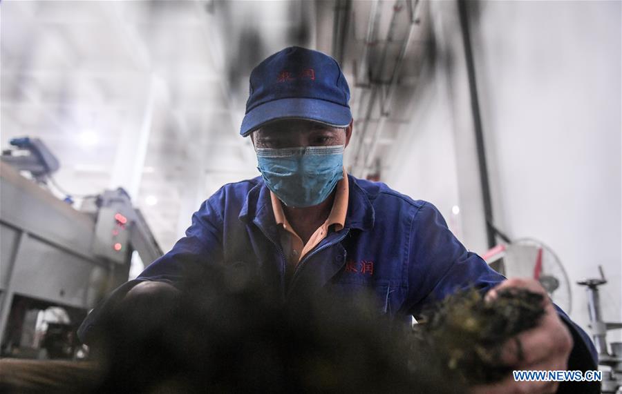 CHINA-SICHUAN-CHENGDU-YA'AN RAILWAY-TEA HORSE ROAD (CN)