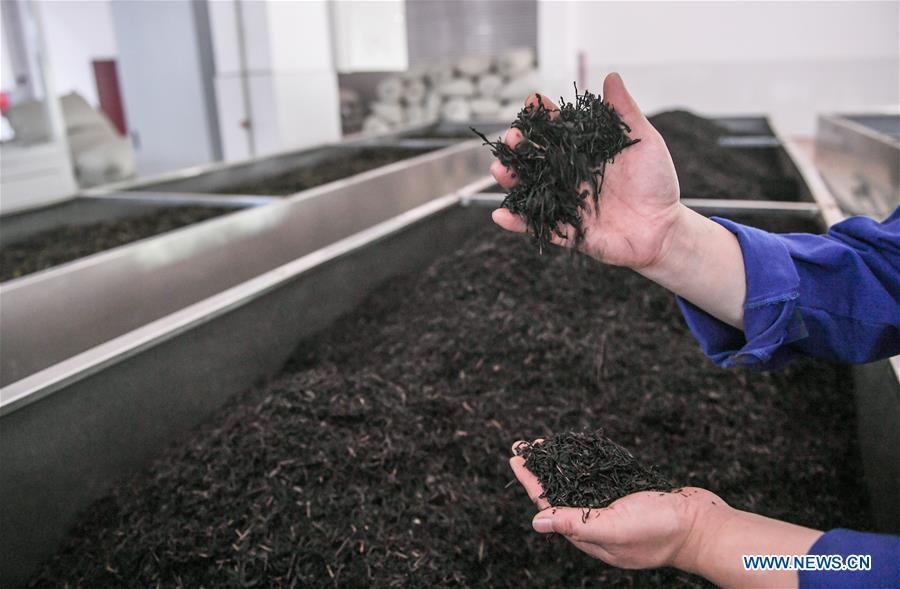 CHINA-SICHUAN-CHENGDU-YA'AN RAILWAY-TEA HORSE ROAD (CN)