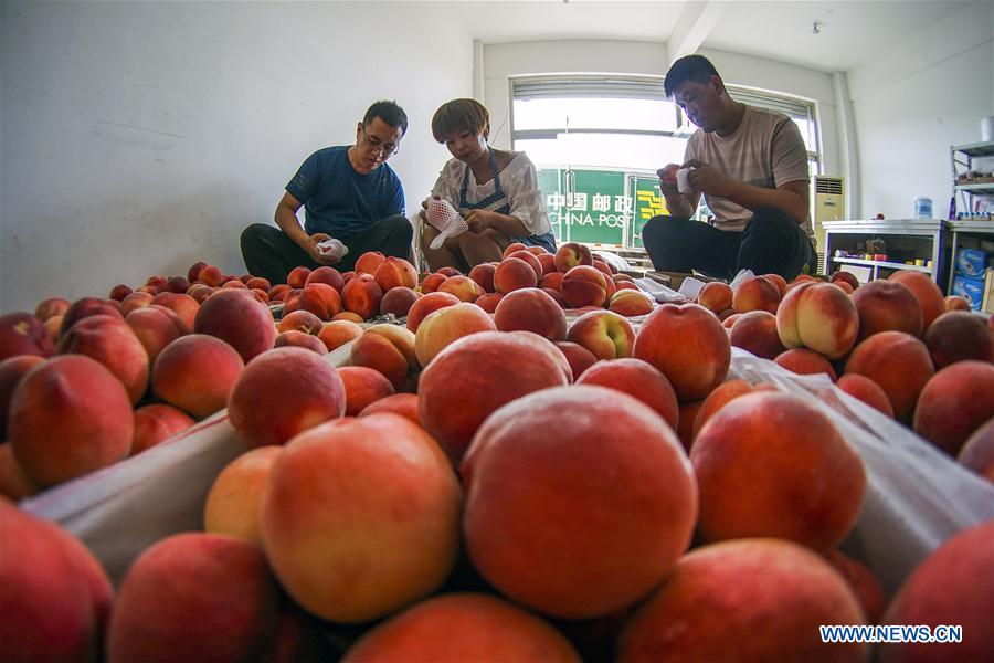 #CHINA-HEBEI-ZUNHUA-POSTAL SERVICE-AGRICULTURAL PRODUCT (CN)
