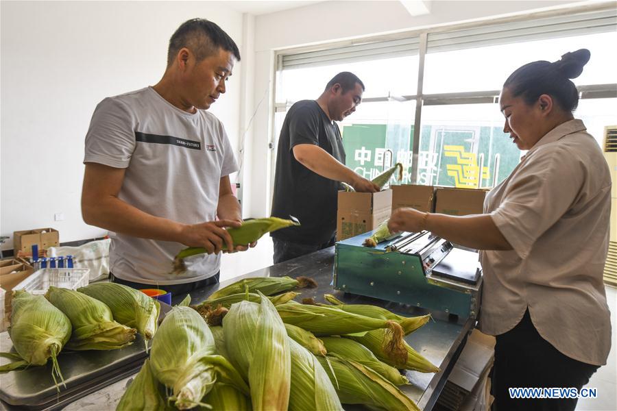 #CHINA-HEBEI-ZUNHUA-POSTAL SERVICE-AGRICULTURAL PRODUCT (CN)