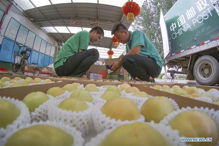 #CHINA-HEBEI-ZUNHUA-POSTAL SERVICE-AGRICULTURAL PRODUCT (CN)