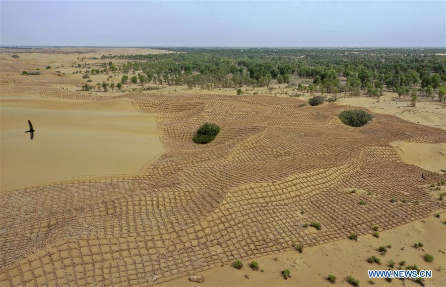 CHINA-XINJIANG-YULI-DESERT CONTROL (CN)