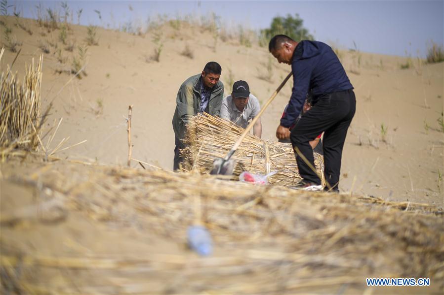 CHINA-XINJIANG-YULI-DESERT CONTROL (CN)