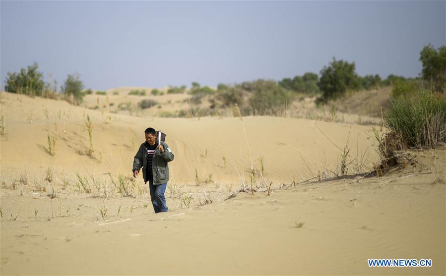 CHINA-XINJIANG-YULI-DESERT CONTROL (CN)