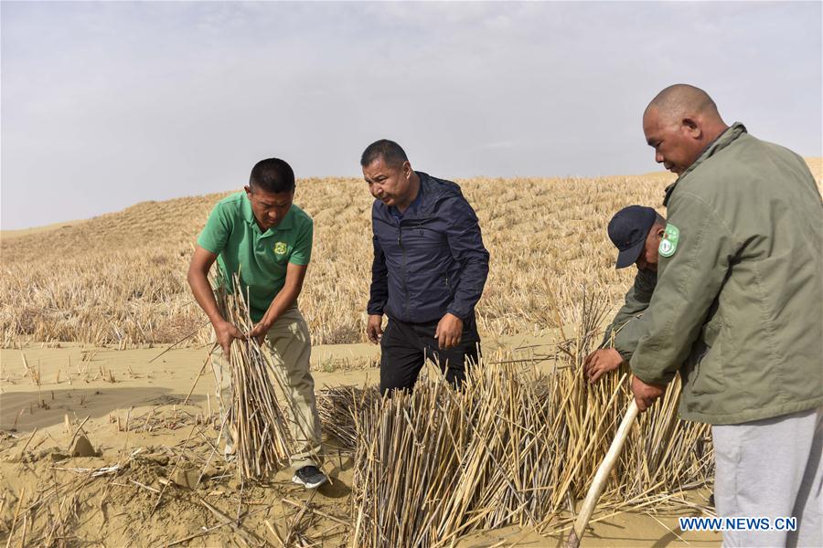 CHINA-XINJIANG-YULI-DESERT CONTROL (CN)