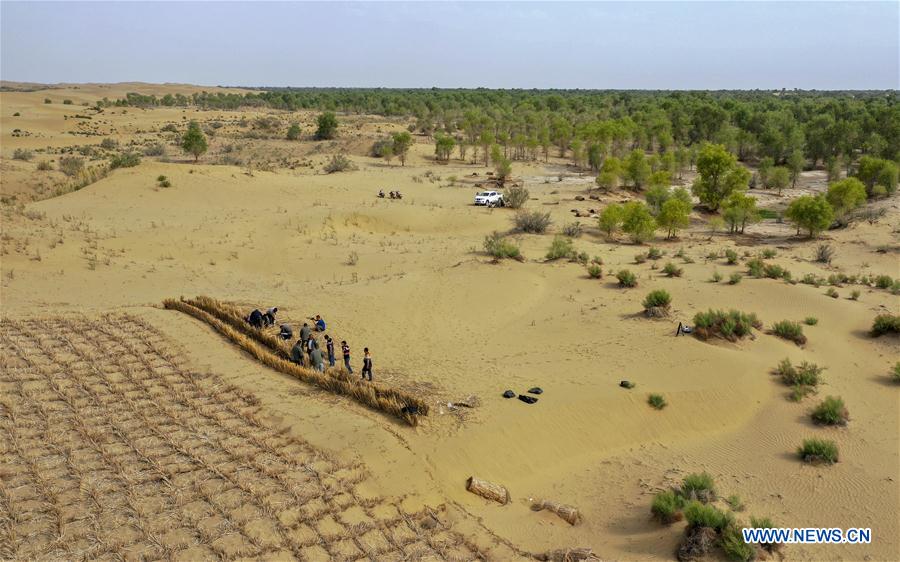 CHINA-XINJIANG-YULI-DESERT CONTROL (CN)