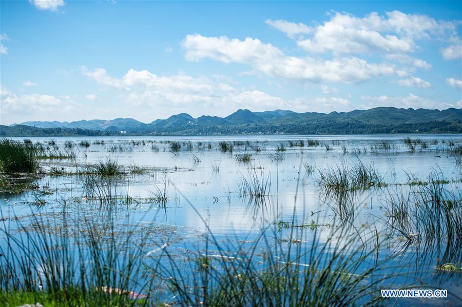 CHINA-GUIZHOU-WEINING-CAOHAI NATIONAL NATURE RESERVE (CN)