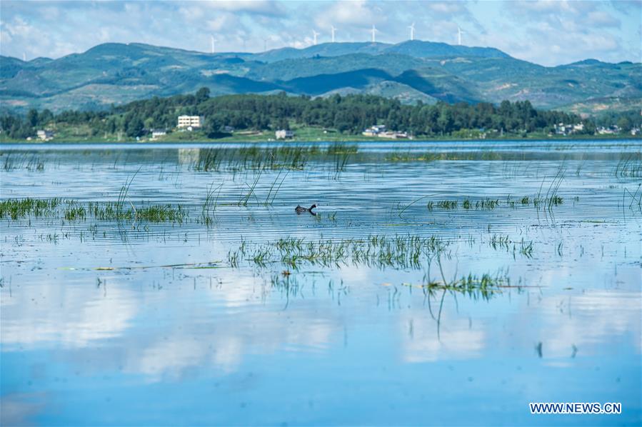 CHINA-GUIZHOU-WEINING-CAOHAI NATIONAL NATURE RESERVE (CN)