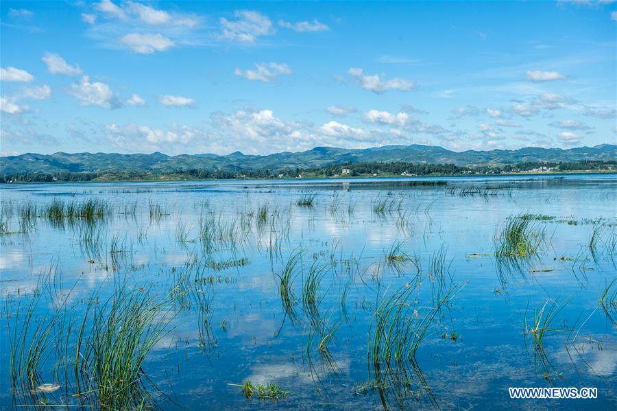 CHINA-GUIZHOU-WEINING-CAOHAI NATIONAL NATURE RESERVE (CN)